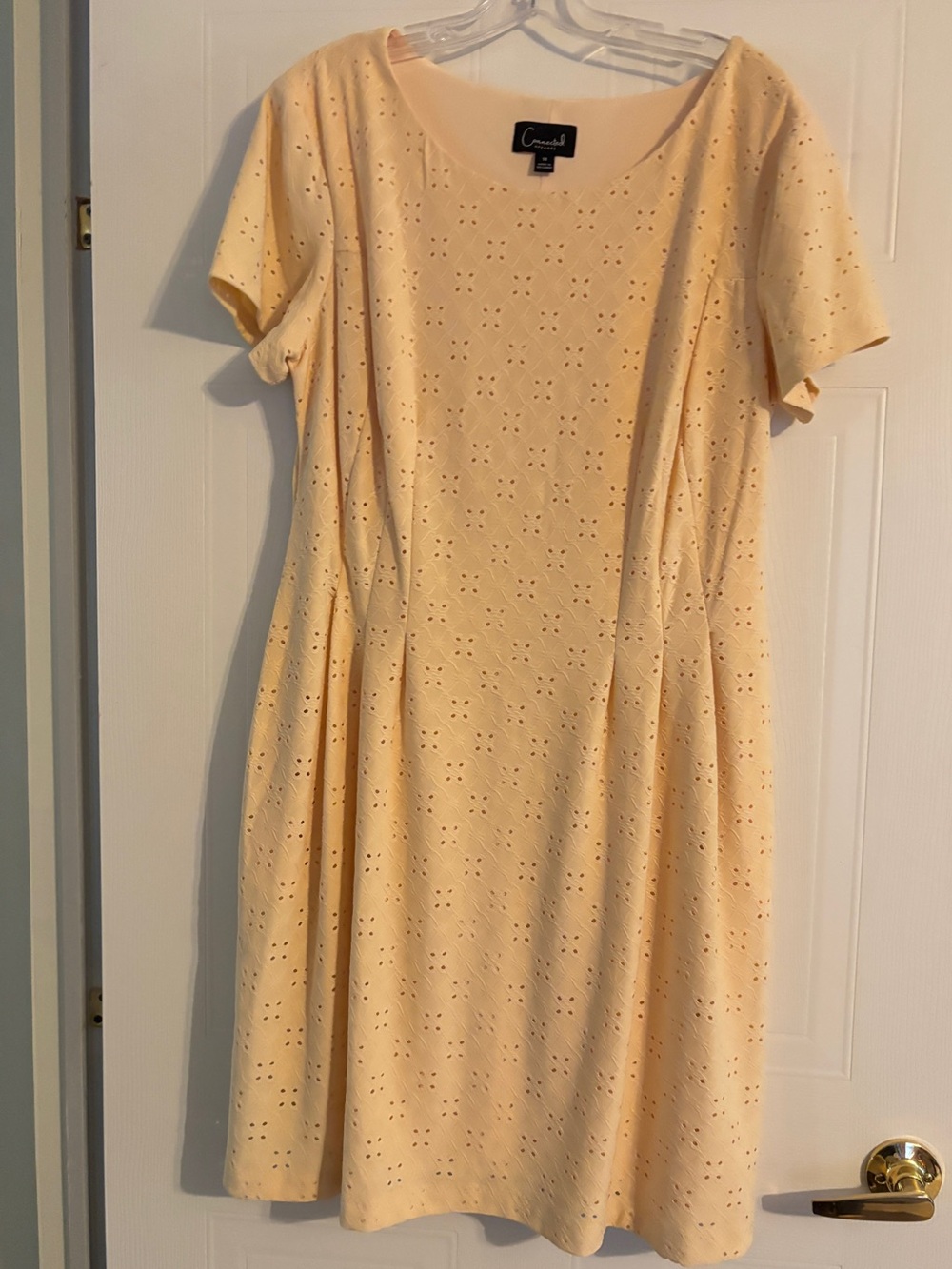 Casual Pale Yellow Eyelet Fit & Flare Dress